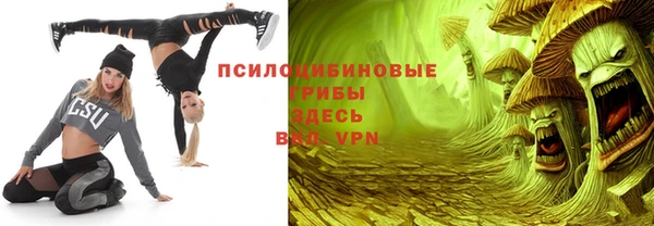 круглые Алзамай