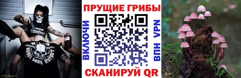 Галлюциногенные грибы мухоморы  blacksprut рабочий сайт  Котельники 